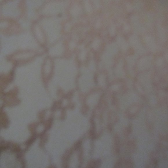 Ashley Blue___ Tan Cover Up  Size 2X - Picture 2 of 6